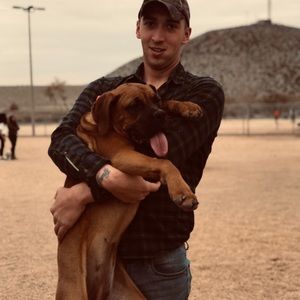 Meet your Posher, Shawn